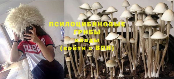 амф Белоозёрский