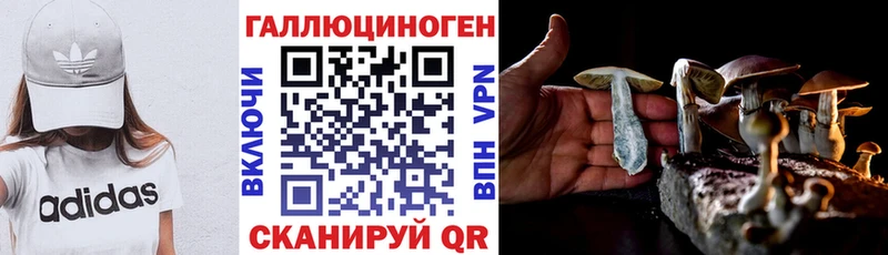 Псилоцибиновые грибы Psilocybe  как найти закладки  Ветлуга 